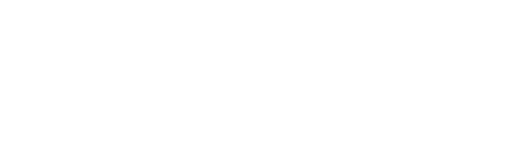 Belvidere Capital